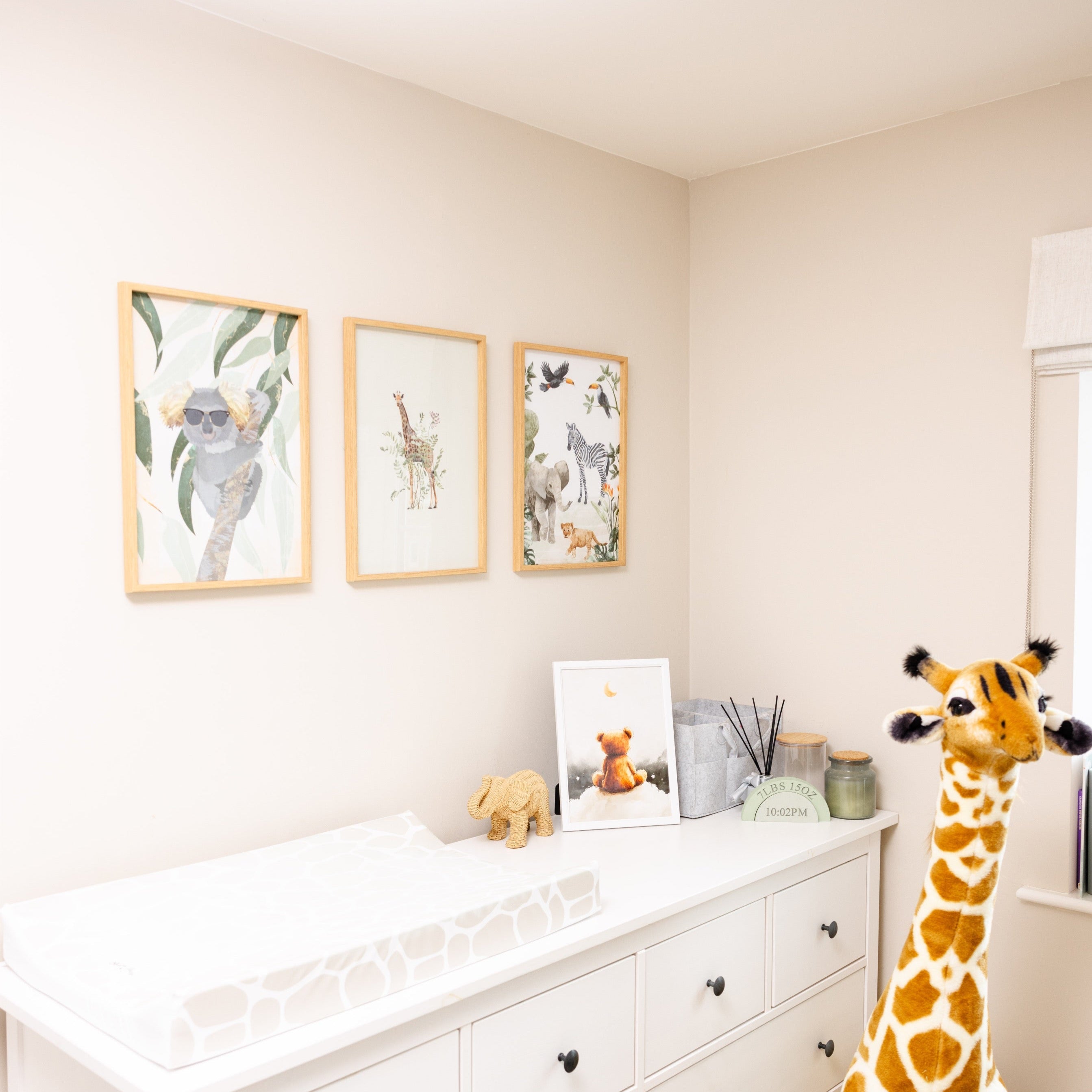 Cool Koala Print
