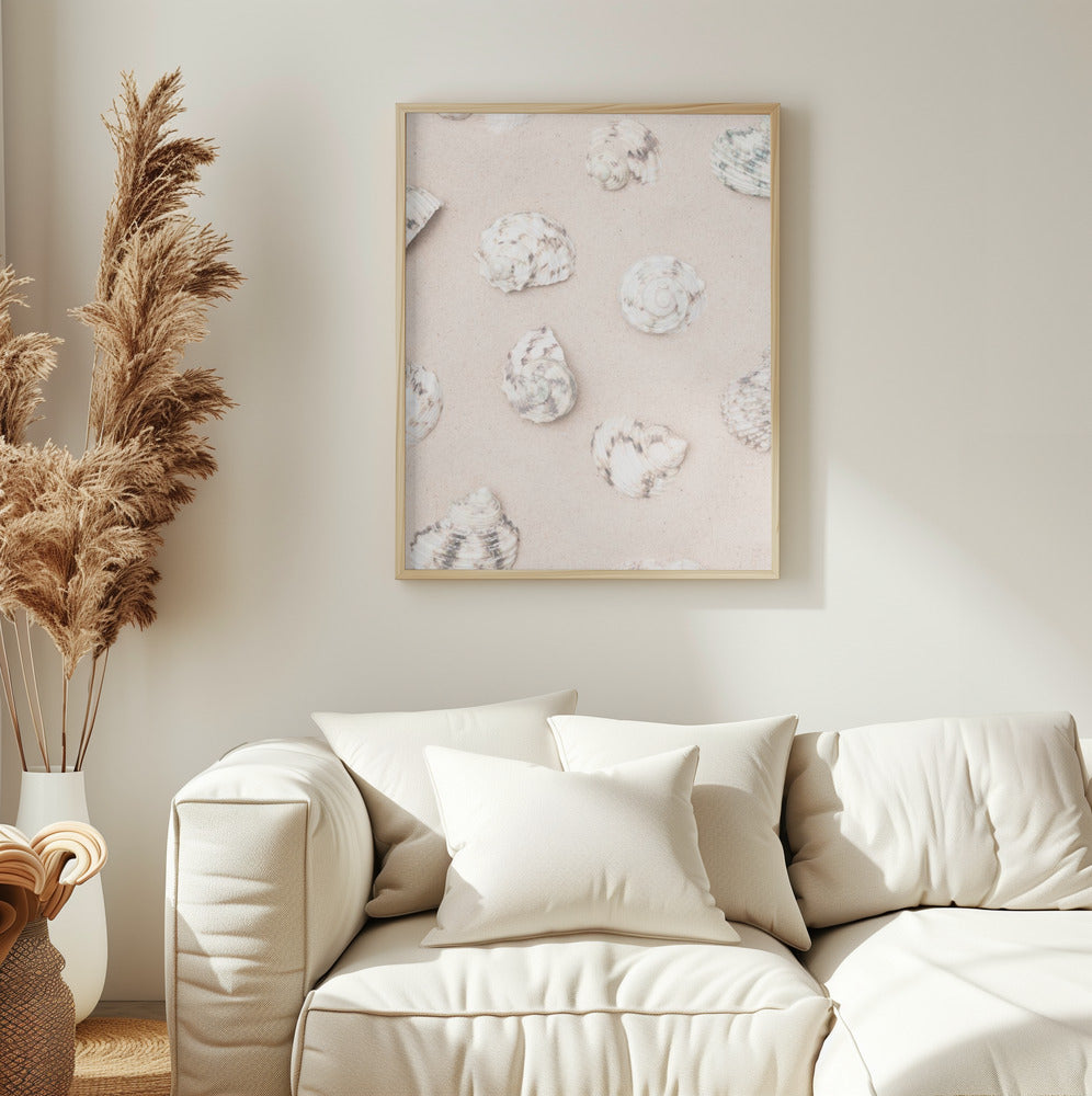 Beach Shells Print