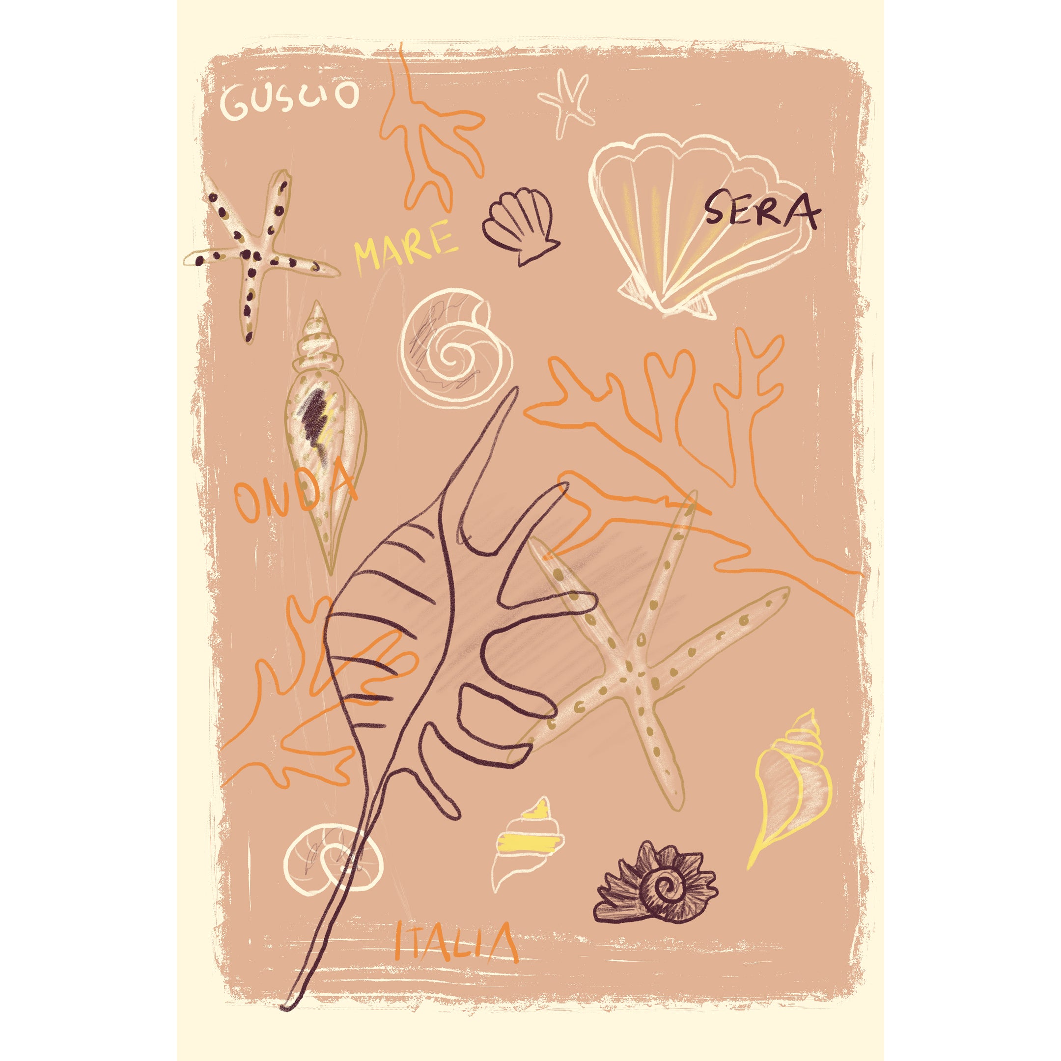 Shells Print